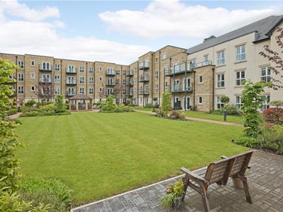Picture 12